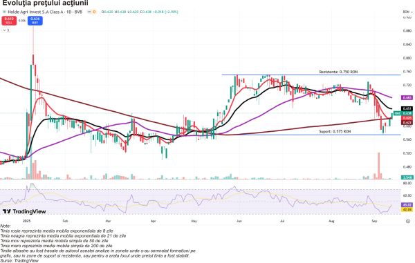 Analiză TradeVille: Holde Agri Invest - realizări şi perspective